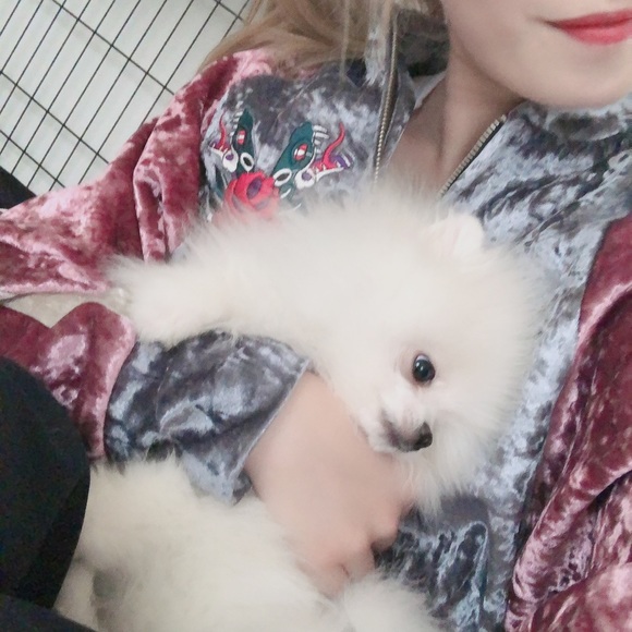 Meet your Posher, Sabrina - Picture 1 of 1